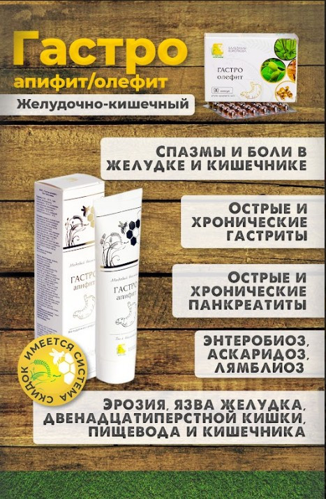 GASTRO-apifit Balsam Korotkova 100 ml