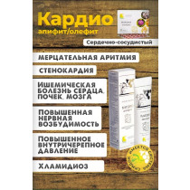 KARDIO-apifit Balsam Korotkova 100 ml
